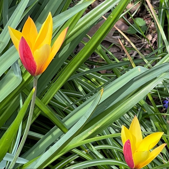 PLEASE, LIKE, FOLLOW & SHARE, SHARE, SHARE! THANK YOU!❤️❤️ - Picture 10 of 16